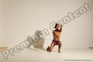 elmer reference 01 16